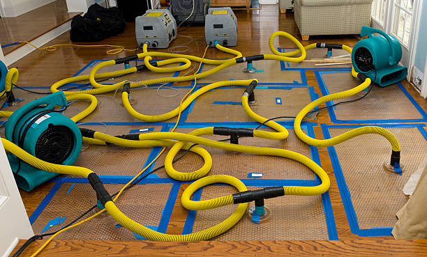 Professional Water Damage Restoration technician working in Shoreham, NY